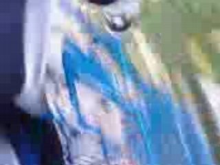 Vidéo0033(1)