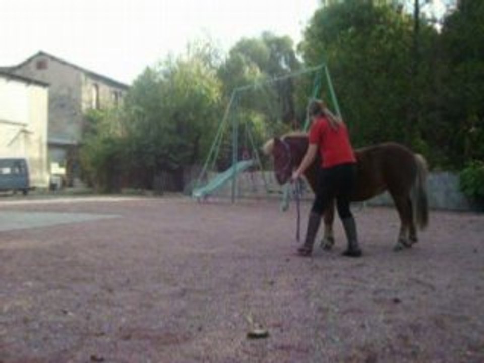 Etho avec calinou (mal cadré )
