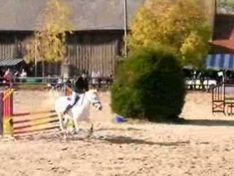 Java & Moi - Concours du 19 Octobre - CSO club2