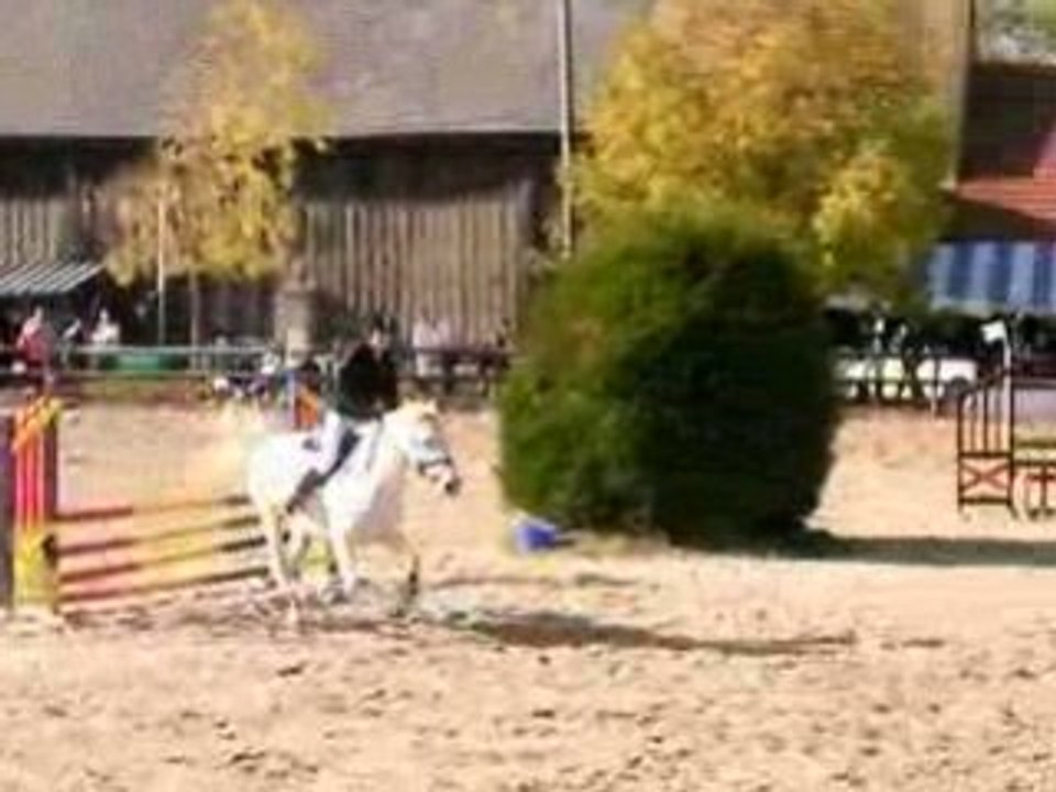 Java & Moi - Concours du 19 Octobre - CSO club2