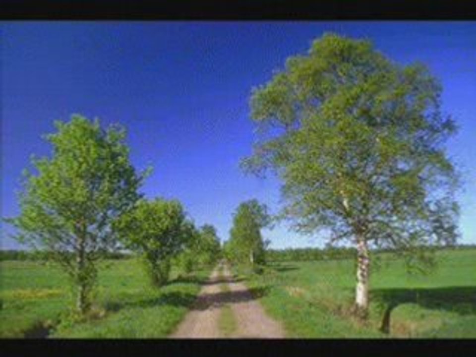 Fatal picard la ferme