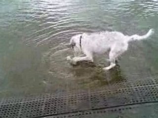 Tina au lac de creteil