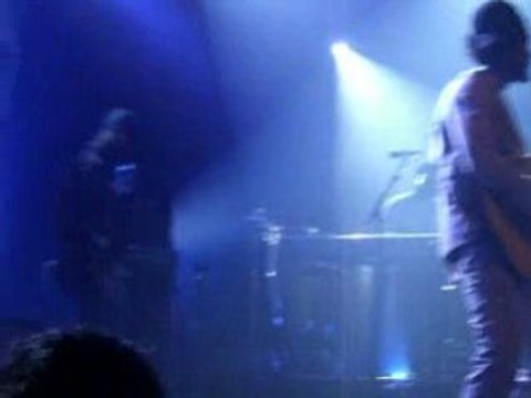 Patrice - Dove of peace aux NJP