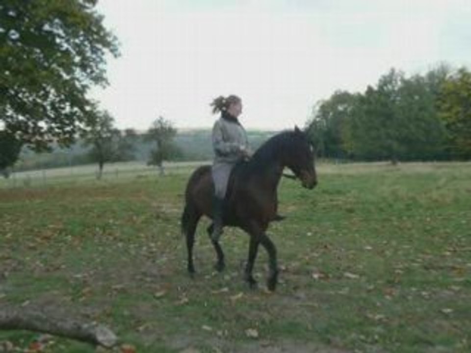 Montage taiga 17 octo