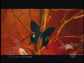 MUCC Ageha