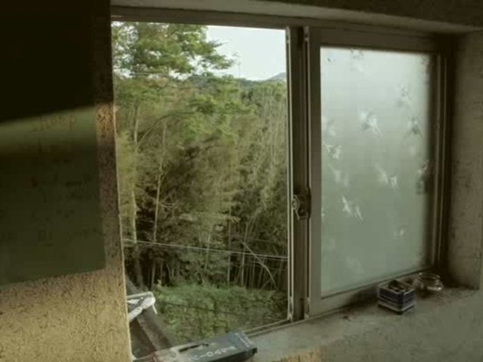 Movie Diary #2 Ise Osaka Kyoto Japan