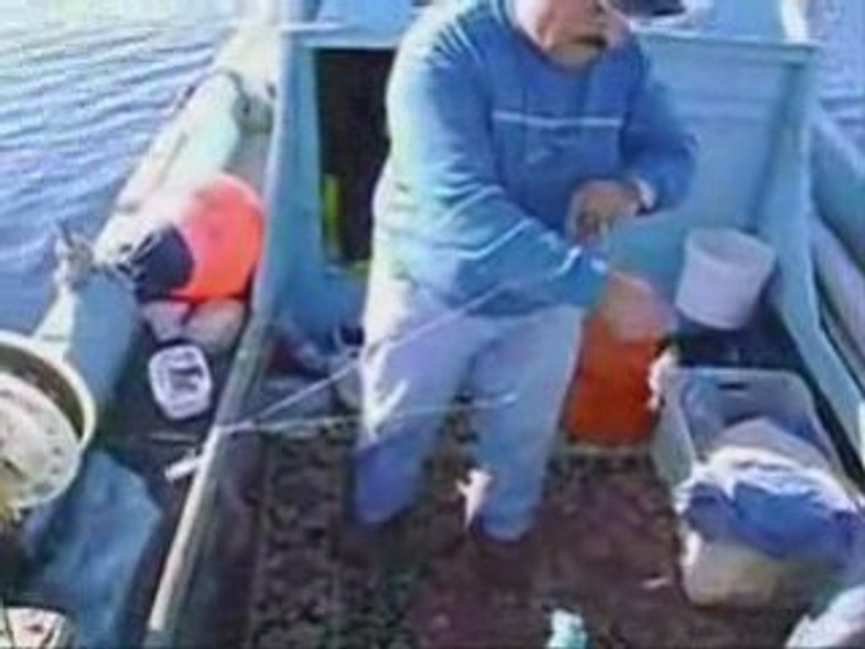 Kargıcak balık avı