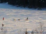 traineaux à chiens au Québec