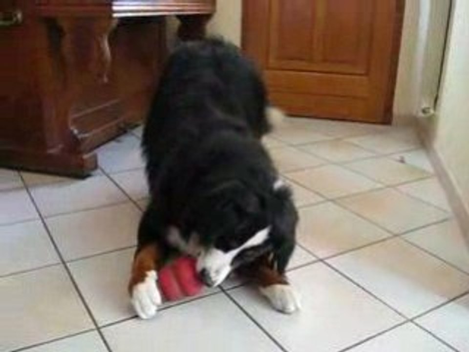 Bouba & le Kong