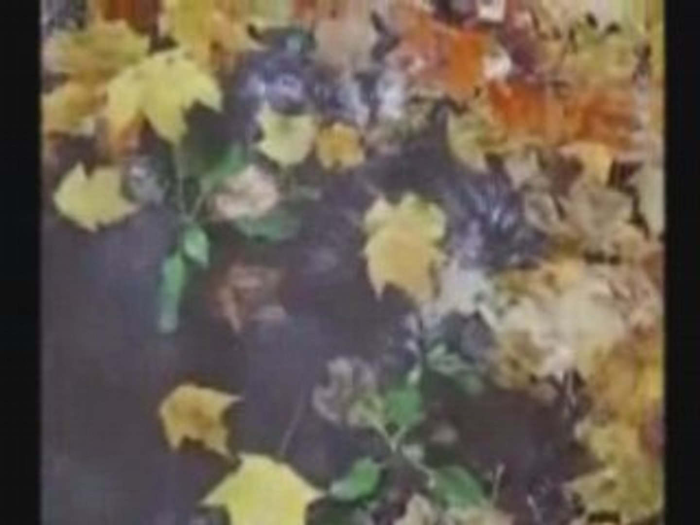 СОЛО для ОСЕНИ