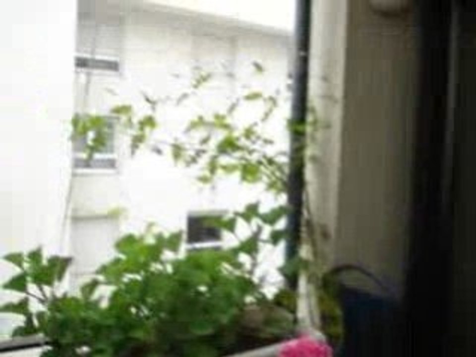 Pluie d'automne