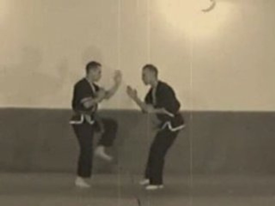 Vietnam Wing Chun 08
