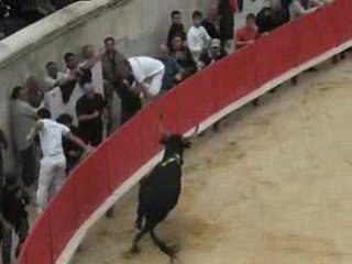 Camarina biou d'or 2008 - Finale Trophée des As a  Nîmes