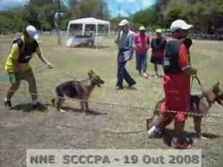 NNE SCCCPA -  5a Femeas (Out 2008)