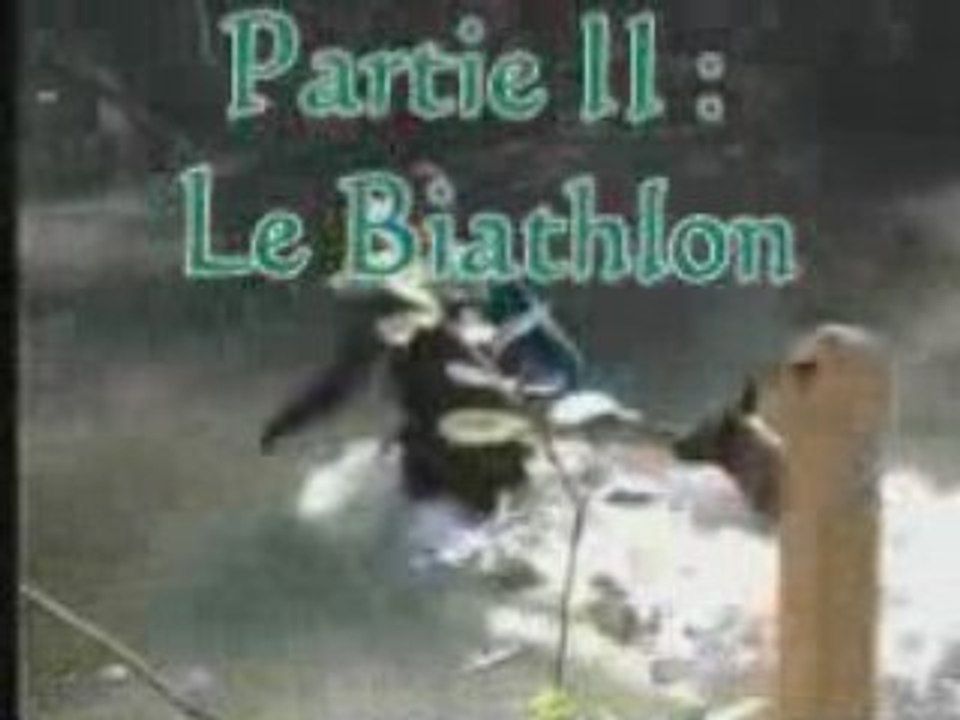 Bacchus de la forge aux Sept Flammes - Swiss Open