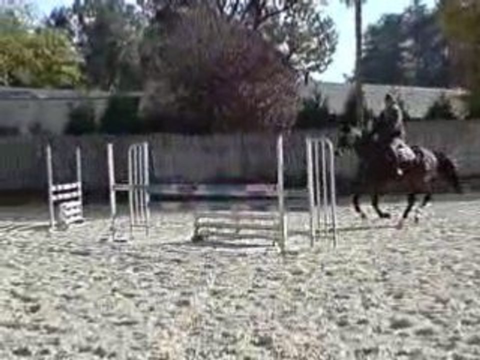 V201007_12.50[01]