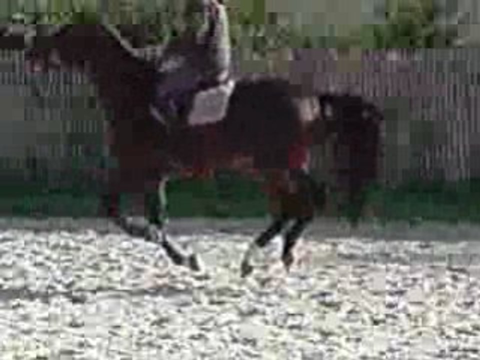 V201007_12.51