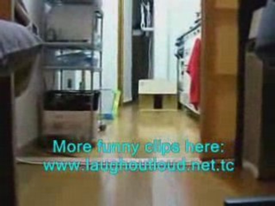 Funny Video Ninja cat comes closer while not moving!