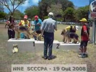 NNE - SCCCPA Premiacao 5a Femeas