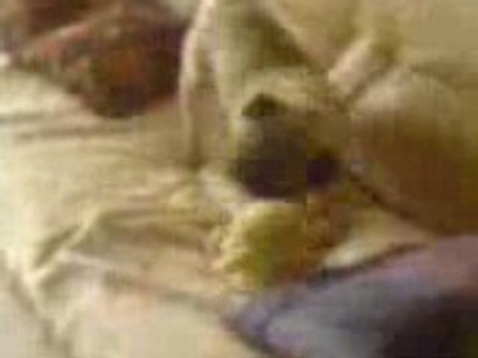 diego et sa peluche