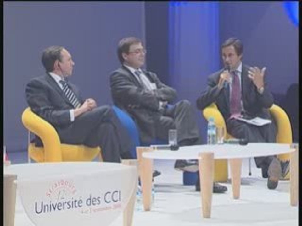 Université des CCI 2008  Strasbourg   V. NIKONOV R. NIBLETT le choc des puissances