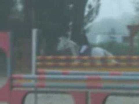 CSO Montélimar le 12.10.08 Prépa 90cm Laristofanny Mahoud