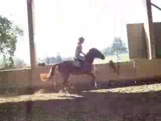 Année 2007.2008 1363