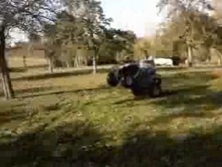 Bibi tond la pelouse