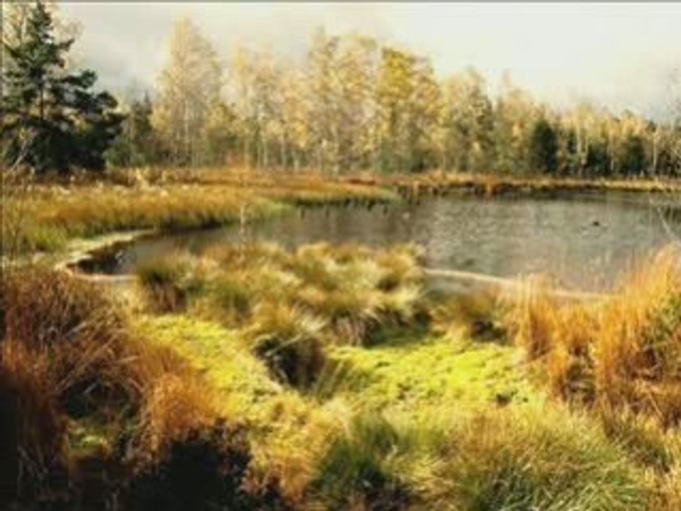 AY AJNABI TU BHI KABHI AAWAZ DE