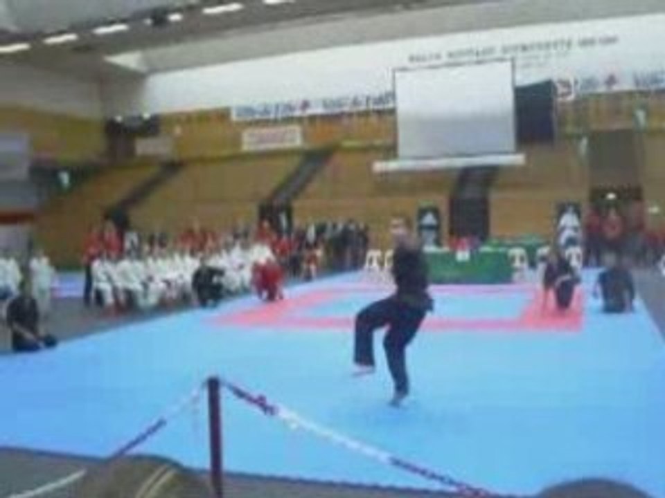 ARTIST TEAM TRICKS  sampler 2007-2008