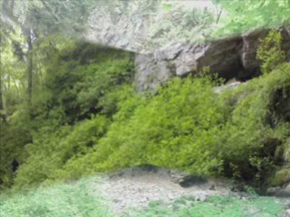Cemiii