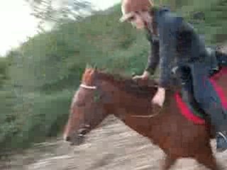 La Couurse Dans Le Champs De Maïs !! ( 1 )