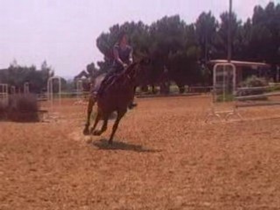 Ma soeur en CSO avec fifi 1