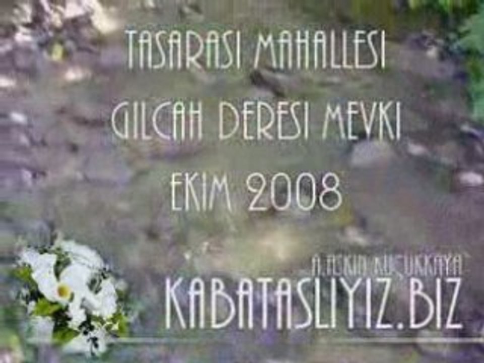 ordu ili kabataş ilçesi, taşarası mahallesi