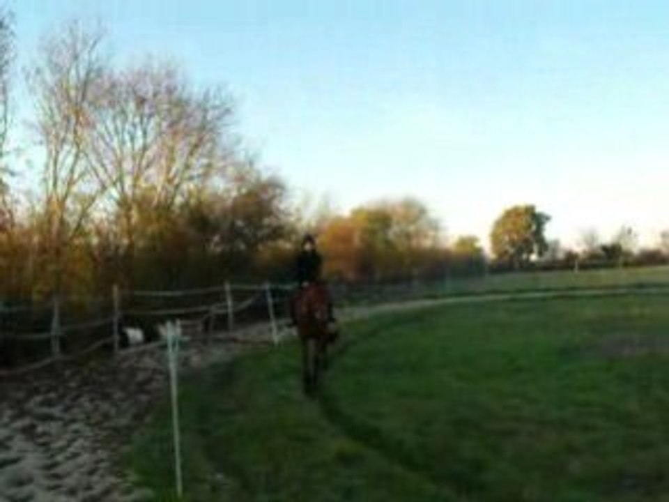 mise en selle