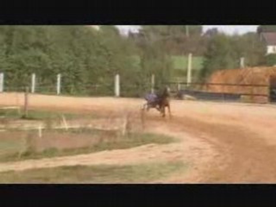 Débourrage Taquine d'Osmoz