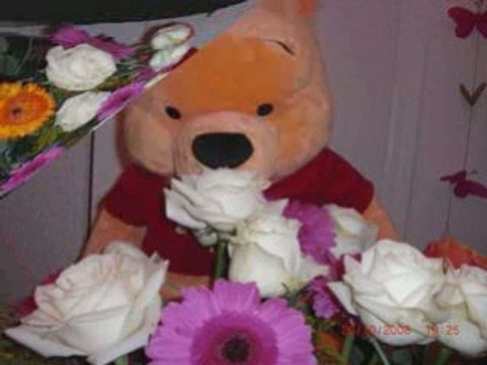 Cendrik é moi le bouquet de fleurs+winnie