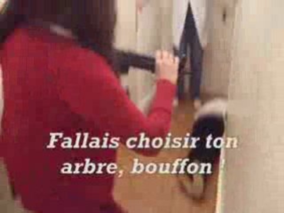 Elle tu l'aimes-Hélène Ségara