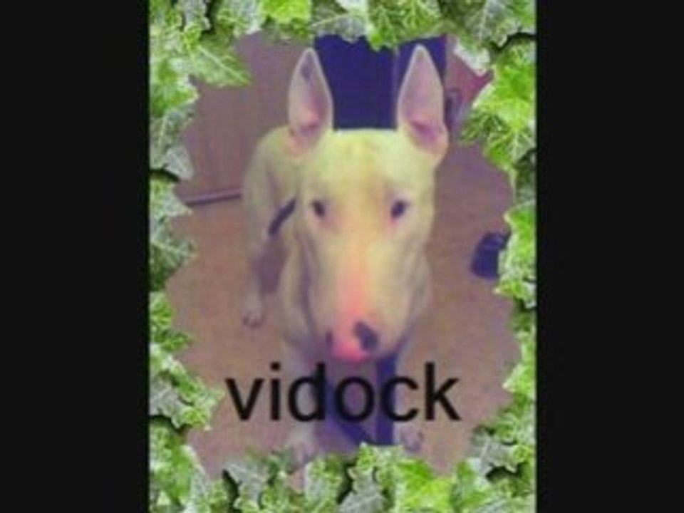 Photorécit5