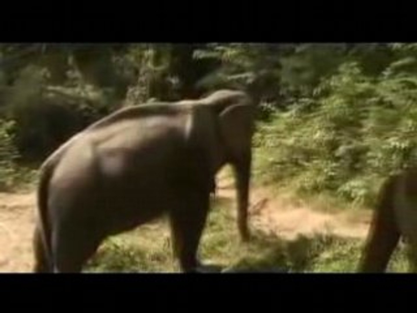 Adventure Travel: Adventure Travel to Thailand