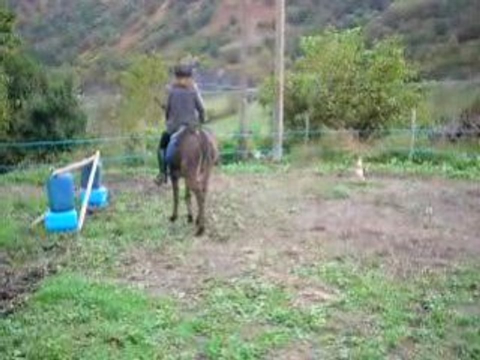 Musu ne veut pas travailler