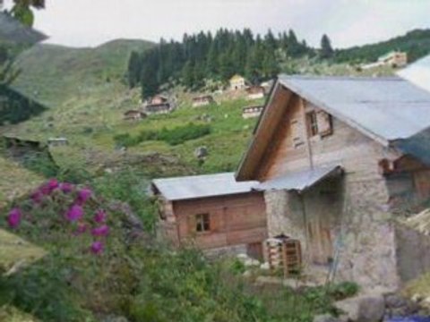 RİZE-AMLAKİTYAYLASI-DİDO-KAZIM KOYUNCU- kavrun.tr.gg