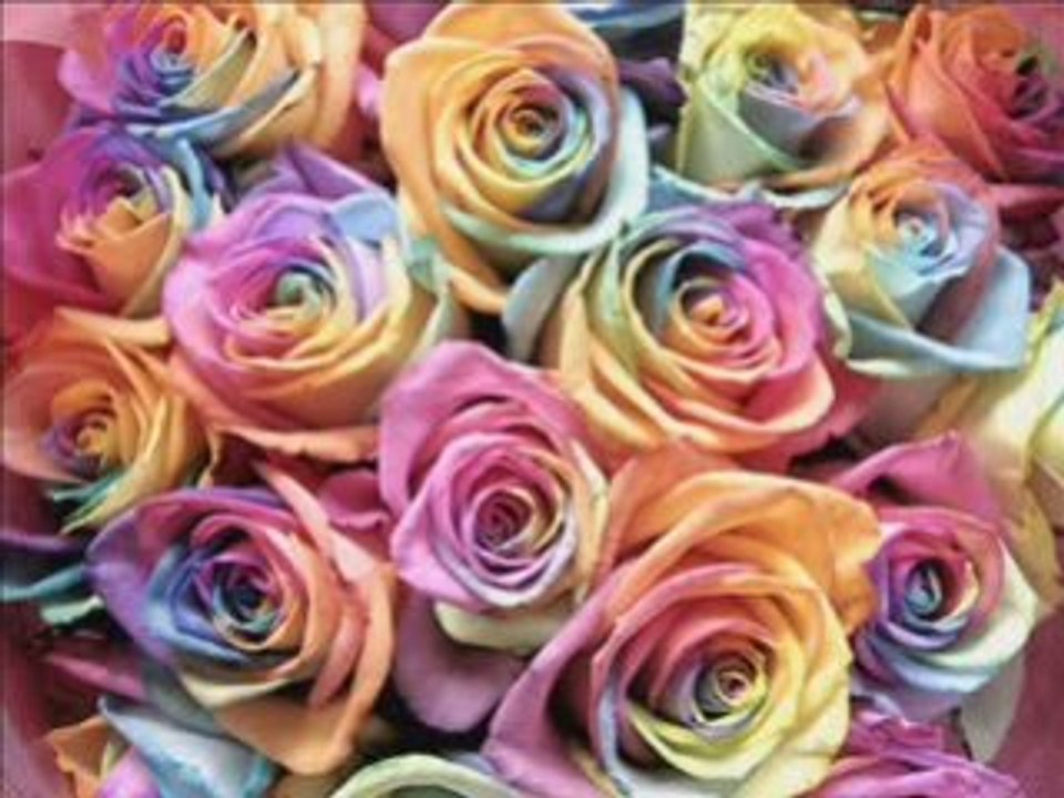 PHOOL BHEJA HAI KHAT MAIN