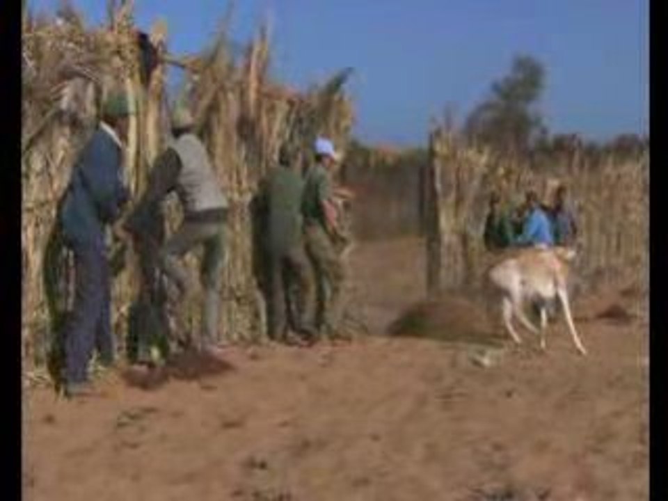 Maroc (المملكة المغربية)