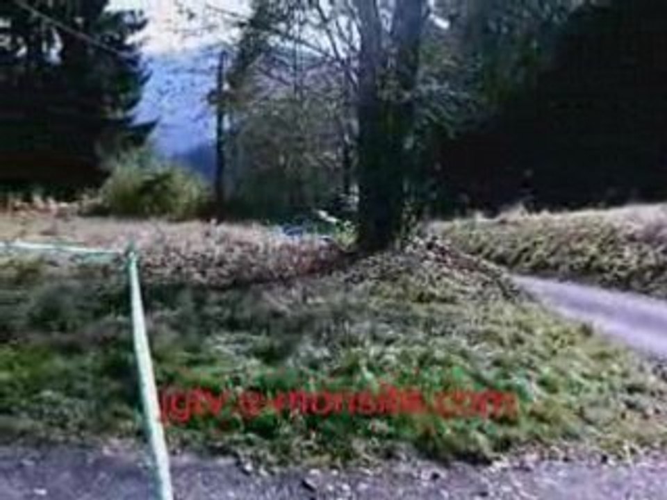RALLYE DE LA HAUTE SAONE ES 6-8