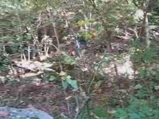 P'tite virée automnale entre pots...