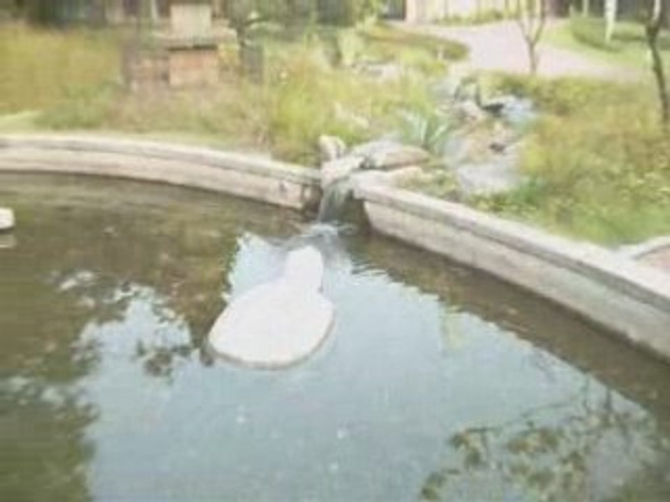 SOUTH KOREA - Seoul, Mayfield Hotel Park