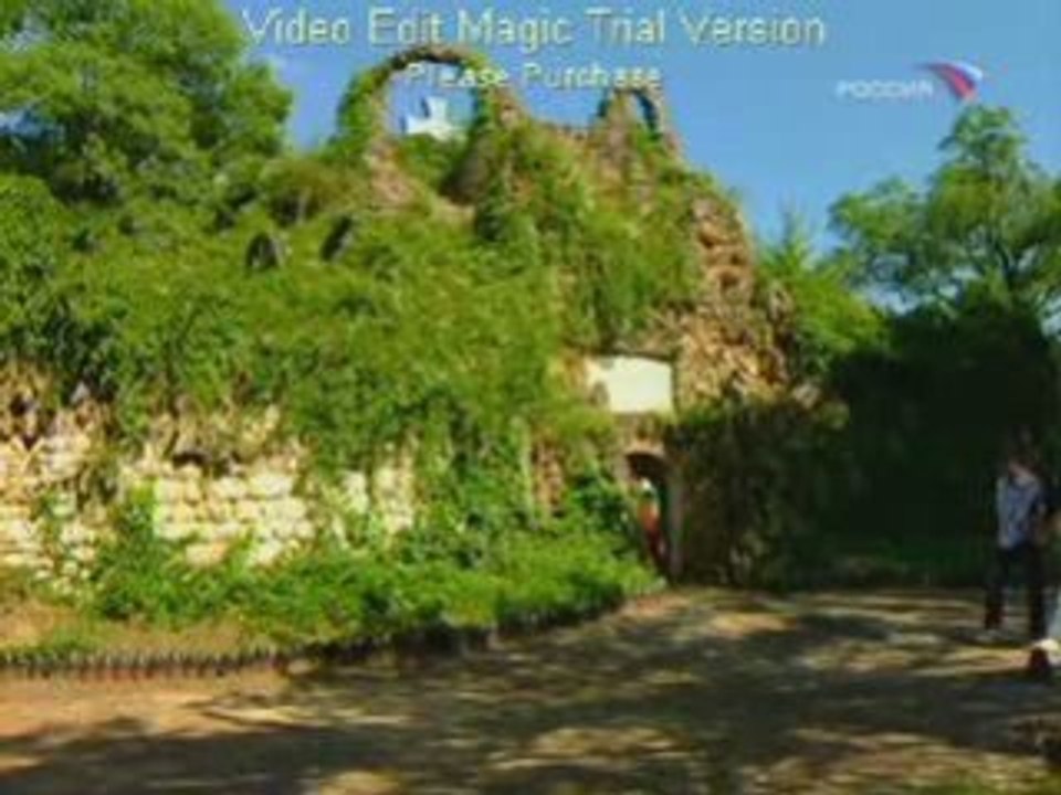 Братя Руси при Свищов