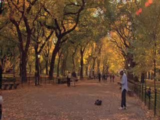 Gossip Girl 2x07 - Download any Episode & Season!