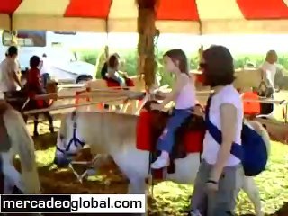 Marketing y Negocios - Aprendiendo de un Granjero Local